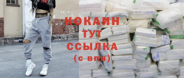 сатива Нея