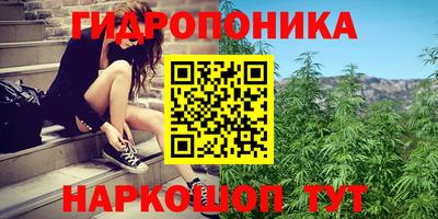 кокс Волгодонск