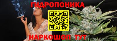 спиды Волгодонск