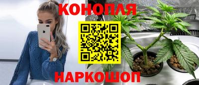 спиды Волгодонск