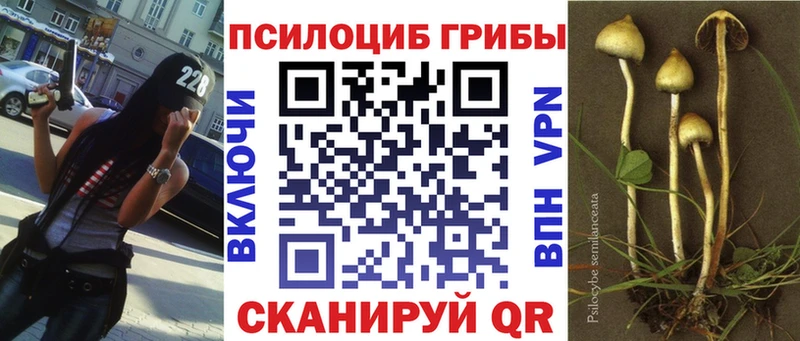 Псилоцибиновые грибы MAGIC MUSHROOMS Ижевск