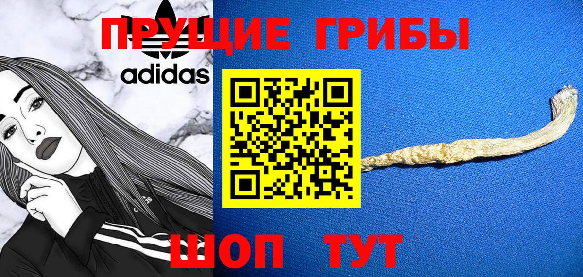 Меф Ижевск