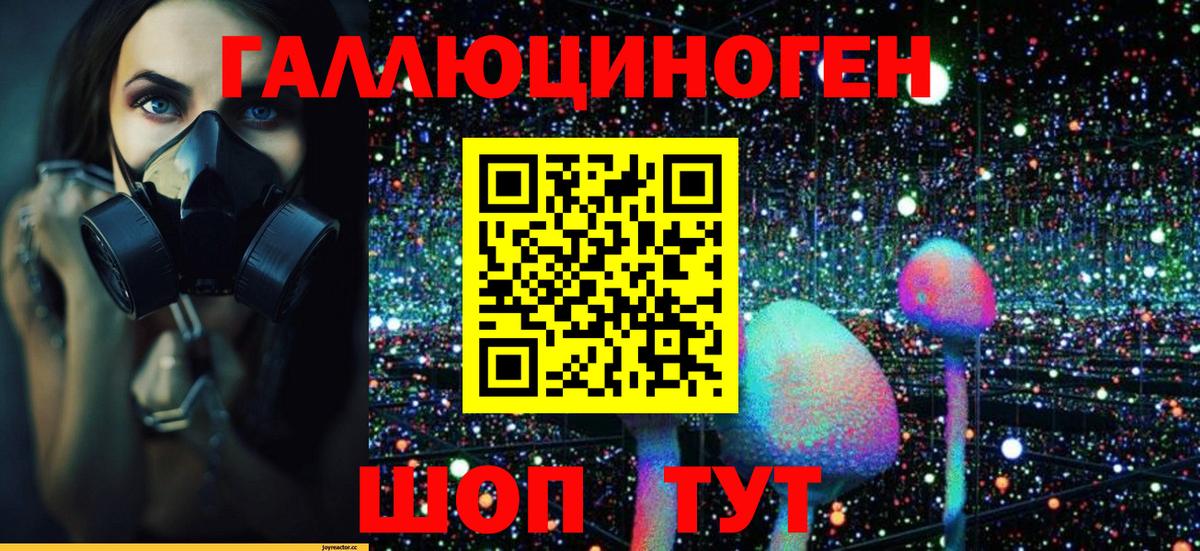 Псилоцибиновые грибы MAGIC MUSHROOMS  Галлюциногенные грибы GOLDEN TEACHER  Ижевск  Вход с VPN 