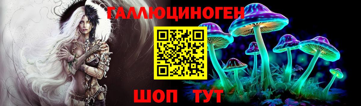 как найти закладки  Ижевск  Псилоцибиновые грибы MAGIC MUSHROOMS  Псилоцибиновые грибы Psilocybe 